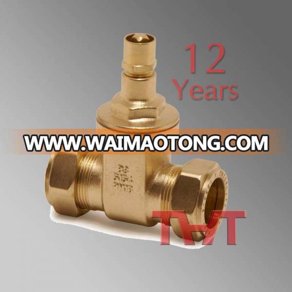 Brass Hard Seat Small Gate Valve